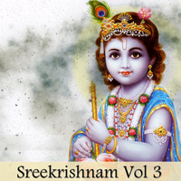 Bijunarayan - Sreekrishnam, Vol. 3