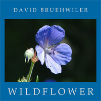 David Bruehwiler - Wildflower