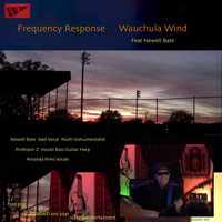 Frequency Response - Wauchula Wind