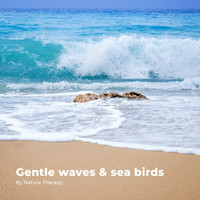 Nature Therapy - Gentle Waves & Sea Birds