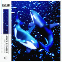 2Whales - Driving Fast