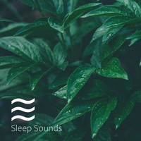 Deep Sleep Vacuum Cleaners - Soothing Sounds for Perfect Baby Nap and Relaxation