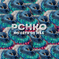 PCHKO - No está de más