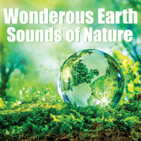 Natural Sounds - Wonderous Earth: Sounds of Nature
