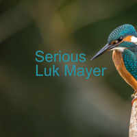 Luk Mayer - Serious