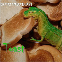 toast - EKSTREEMLEEBURNT