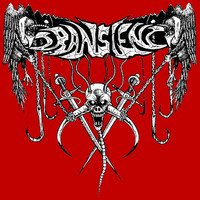 Transient - Split with Sale Sangre