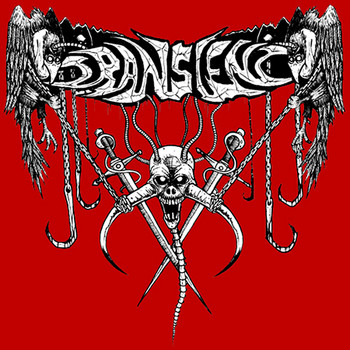 Transient - Split with Sale Sangre