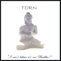 TORN - I can't believe it's not Buddha!