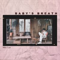 Nâu Lục - Baby's Breath