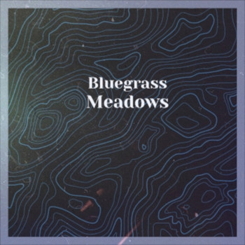 Various Artist - Bluegrass Meadows