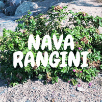 Nava - Rangini
