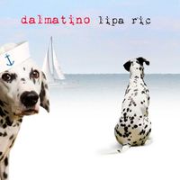 Dalmatino - Lipa Rič
