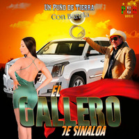 El Gallero De Sinaloa - Un Puño De Tierra Con Banda