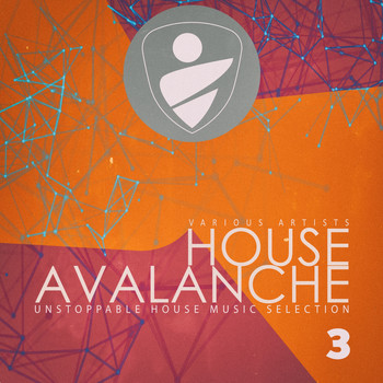 Various Artists - House Avalanche, Vol. 3