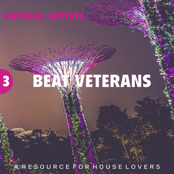 Various Artists - Beat Veterans, Vol. 3