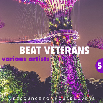 Various Artists - Beat Veterans, Vol. 5