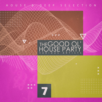 Various Artists - The Good Ol' House Party, Vol. 7