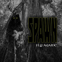 Fly Agaric - SPAWN