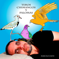 Marcelo Zaffe - Teros Chimangos y Palomas