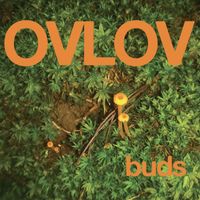 Ovlov - Land of Steve-O
