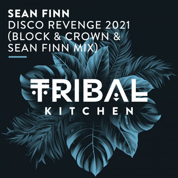 Sean Finn - Disco Revenge 2021 (Block & Crown & Sean Finn Mix)
