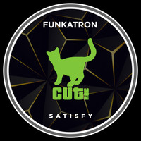 Funkatron - Satisfy (Extended Mix)
