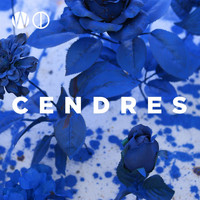 Wood - Cendres