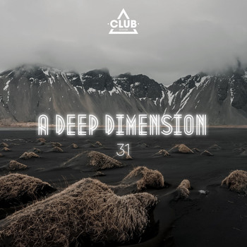 Various Artists - A Deep Dimension, Vol. 31 (Explicit)