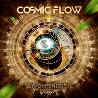 Cosmic Flow - Synchronicity