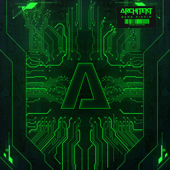 Architekt - BORG RIDDIM