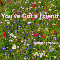 Wolfgang Vrecun - You've Got a Friend