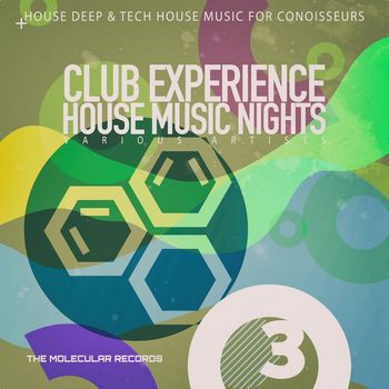 Various Artists - Club Experience: House Music Nights, Vol. 3