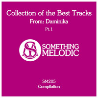 Daminika - Collection of the Best Tracks From: Daminika, Pt. 1
