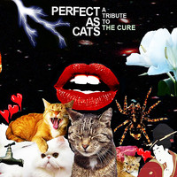 Kaki King - Close To Me (Perfect As Cats Version)