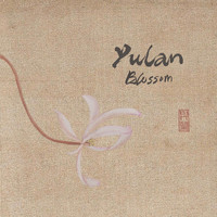 Yulan - Blossom