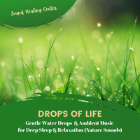 Sound Healing Center - Drops of Life: Gentle Water Drops & Ambient Music for Deep Sleep & Relaxation