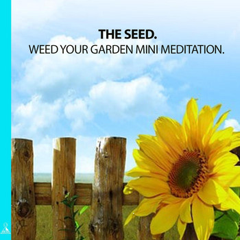 Rising Higher Meditation - The Seed: Weed Your Garden Mini Meditation (feat. Jess Shepherd)