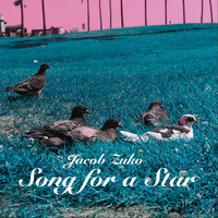 Jacob Zuko - Song for a Star