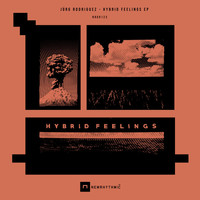 Jorg Rodriguez - Hybrid Feelings Ep