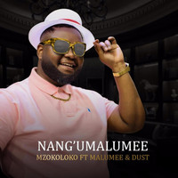 Mzokoloko - Nangu Malumee (feat. Malumee)