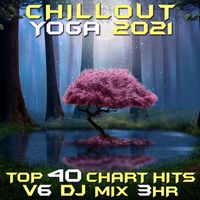 DJ Acid Hard House - Chill Out Yoga 2021 Top 40 Chart Hits, Vol. 6 DJ Mix 3Hr