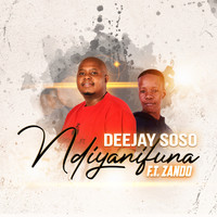 Deejay Soso - Ndiyanifuna (feat. Zando)