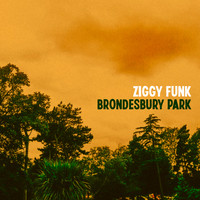 Ziggy Funk - Brondesbury Park