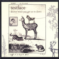 Testface - Doctor Won't You Get Us To Dawn