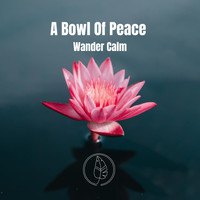 Wander Calm - A Bowl of Peace