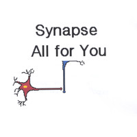 Synapse - All for you