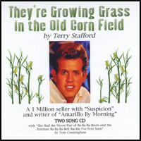 Terry Stafford - They're Growing Grass In The Old Corn Field