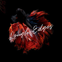 CVX - Rough Edges