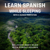 Hermanos Sherman Meditaciones - Learn Spanish While Sleeping With a Guided Meditation: Relaxing Body Scan With Forest Sounds